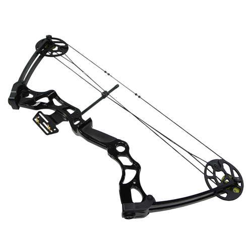 Compound Bow